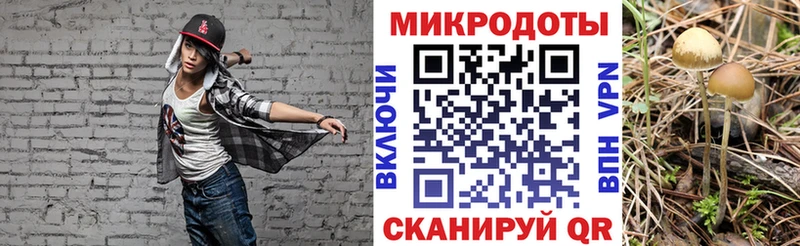 Псилоцибиновые грибы мицелий Шимановск